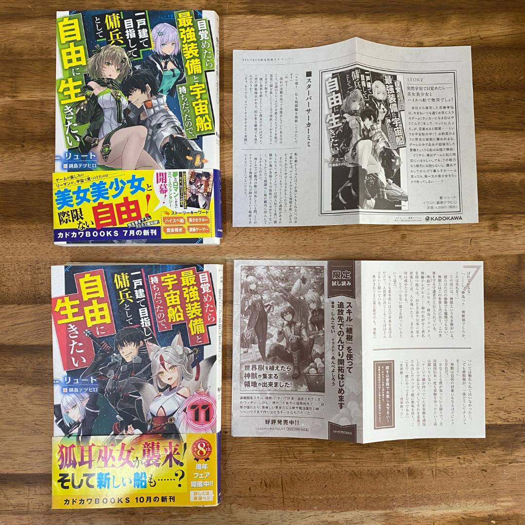 目覚めたら最強装備と宇宙船持ちだったので、一戸建て目指して 1〜12巻 リュート