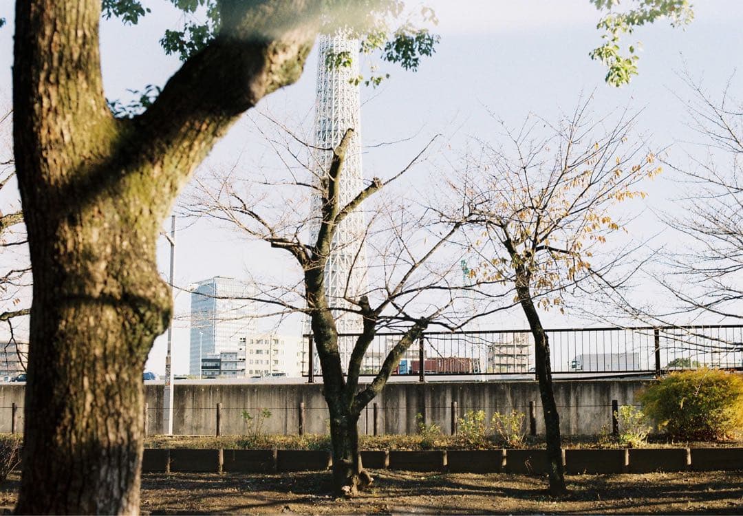 NikonFM2 ＋NIKKOR 50mm ＋ライト＋レンズ2個