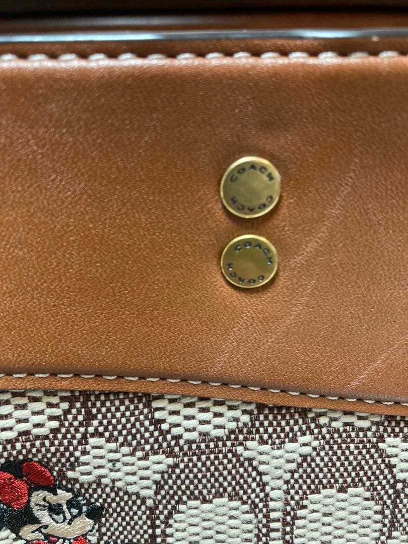 ご予約品【DISNEY×COACH】ディズニー50周年 ショルダーバッグ