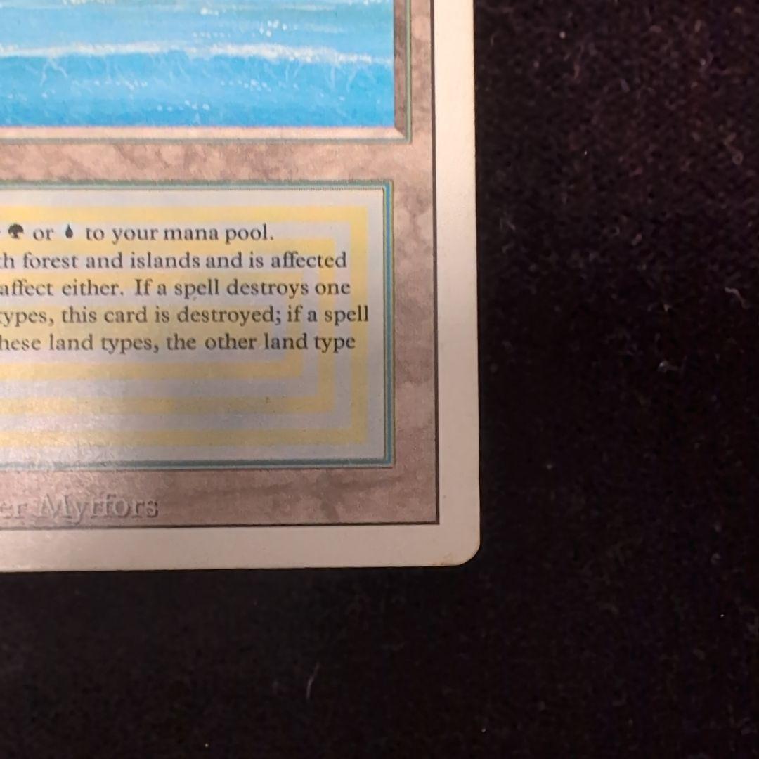 ポ*フ様 MTG　Tropical 　3ED