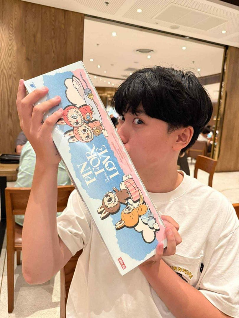 正規品ポップマート ザ モンスターズ ピン フォー ラブ シリーズ ぬいぐるみ