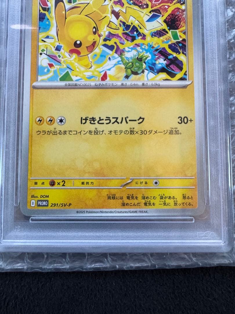 【PSA10】ピカチュウ ジムイベントキャンペーン プロモ②