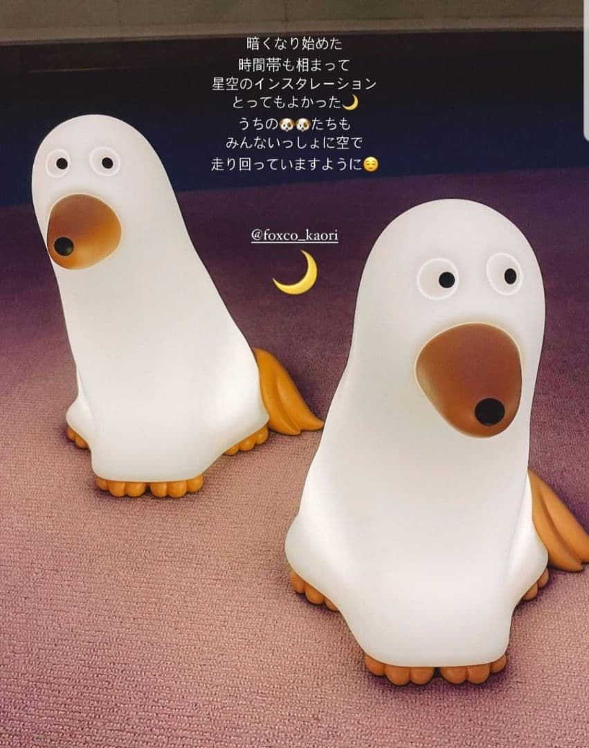 世界20体限定★サイン入り foxco おばけいぬ