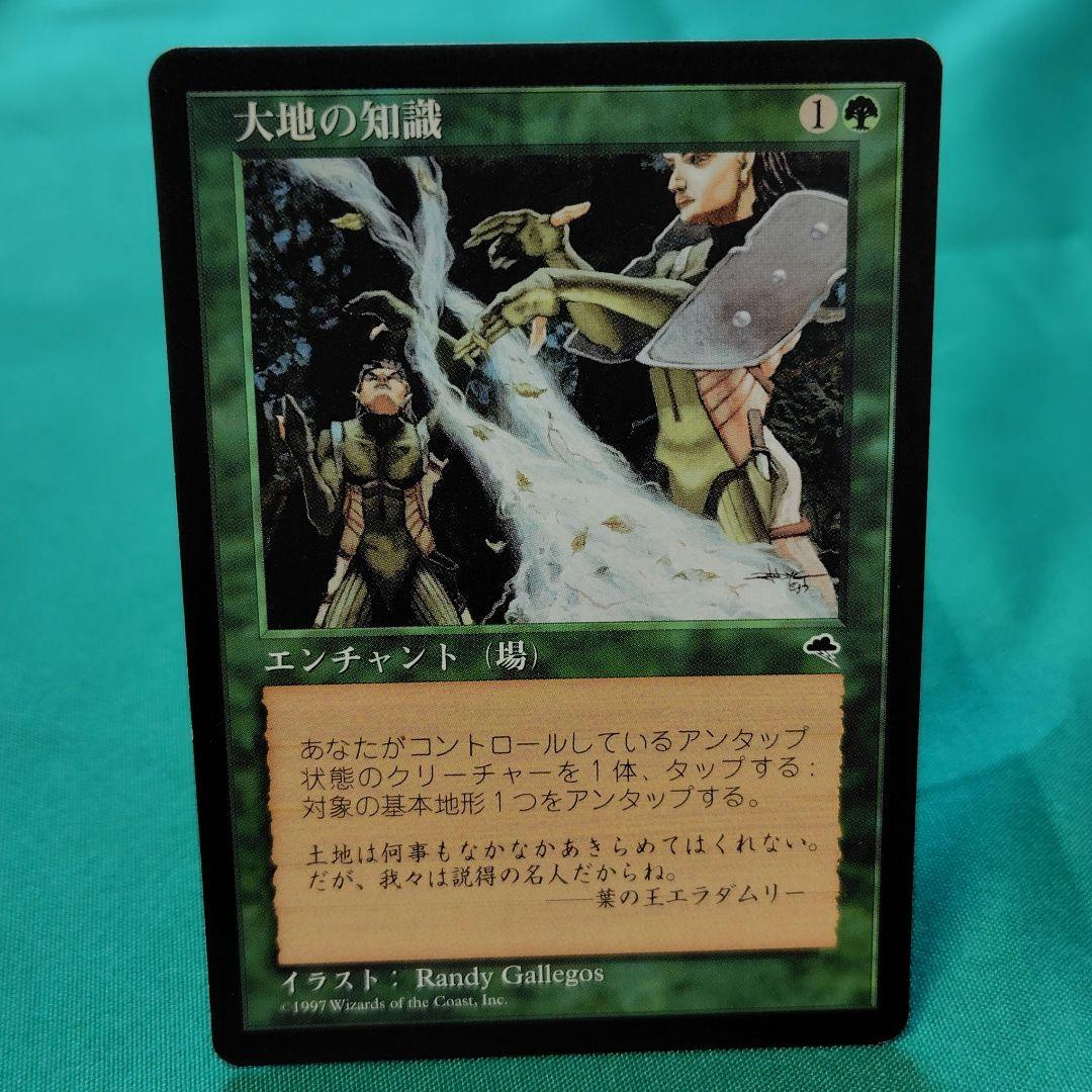 MTG 大地の知識 ２枚セット