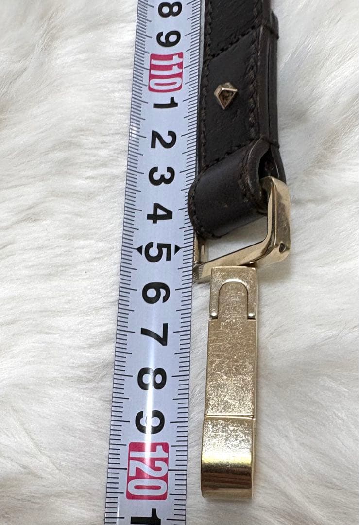 GUCCI激レアヴィンテージ 首輪リードセット