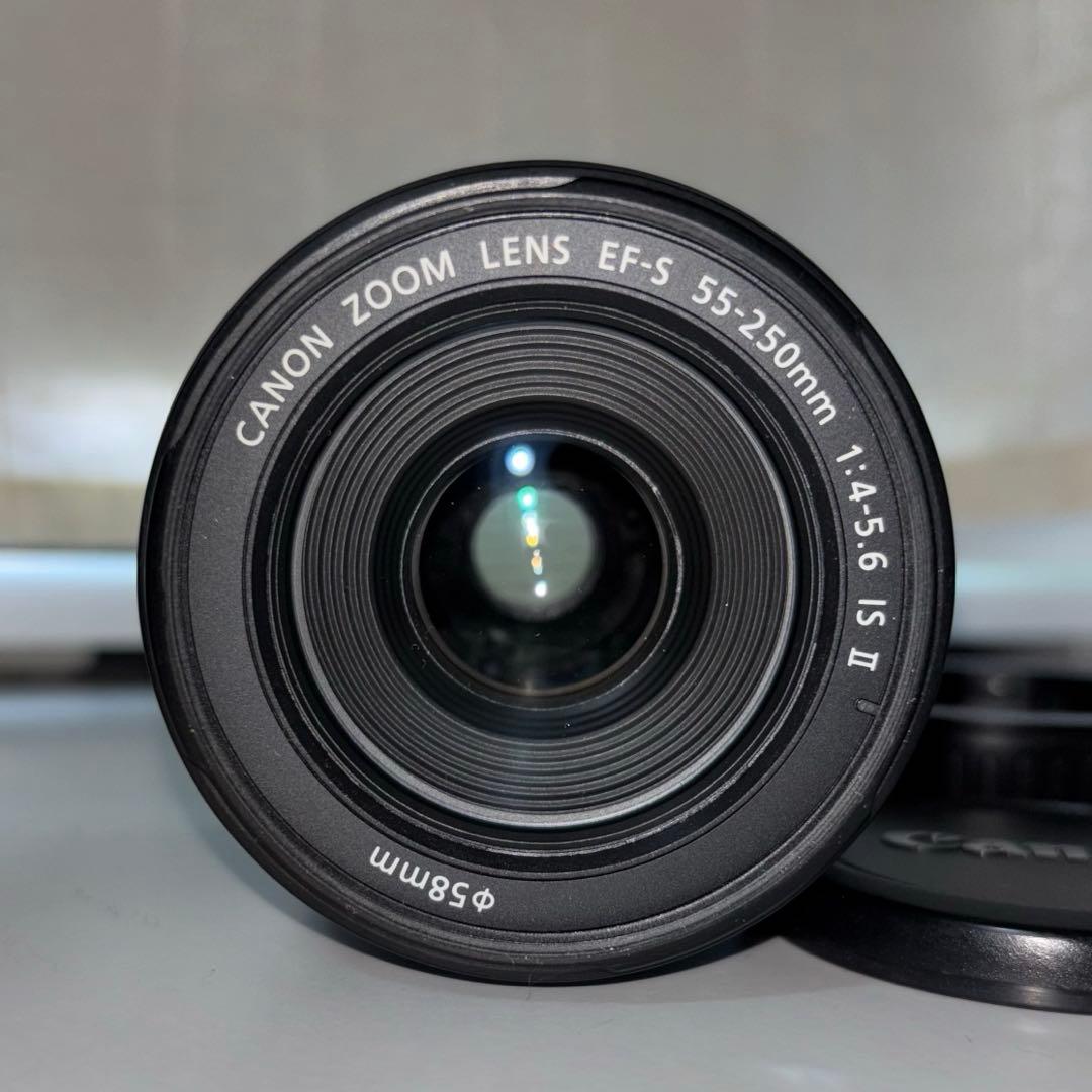 CANON EF-S 55-250mm 1:4-5.6 IS Ⅱ