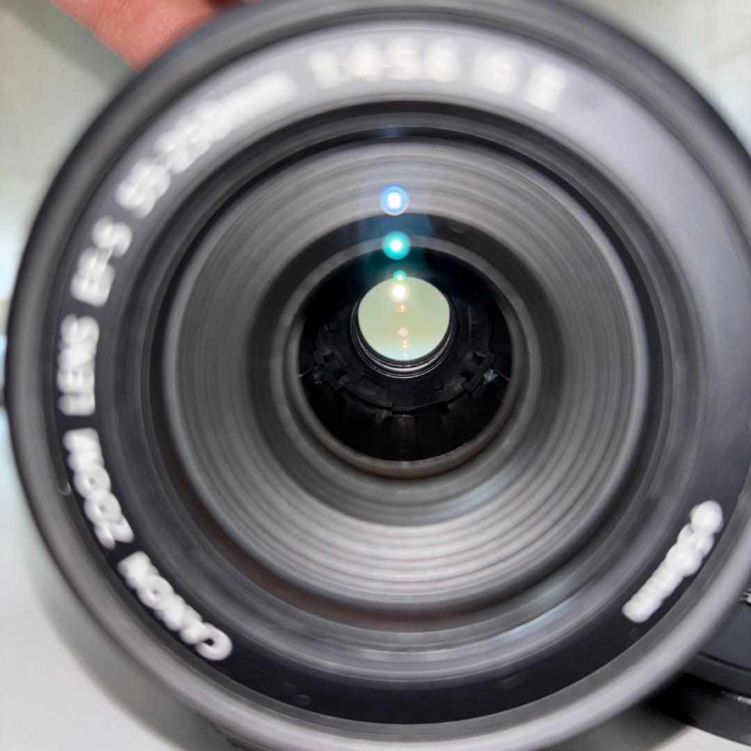 CANON EF-S 55-250mm 1:4-5.6 IS Ⅱ