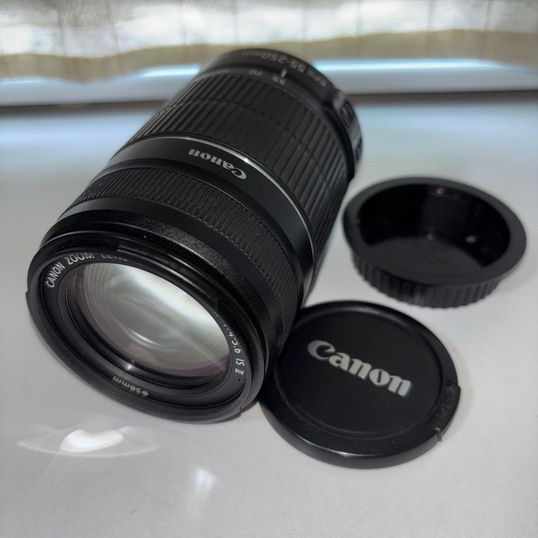 CANON EF-S 55-250mm 1:4-5.6 IS Ⅱ