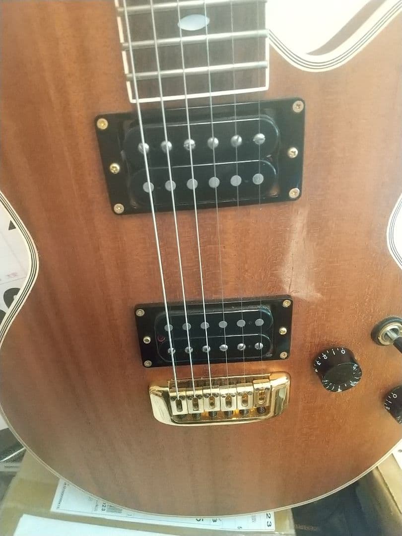 フジゲン/F&CアンボーイAnboy☆AF-55c オールマホガニー