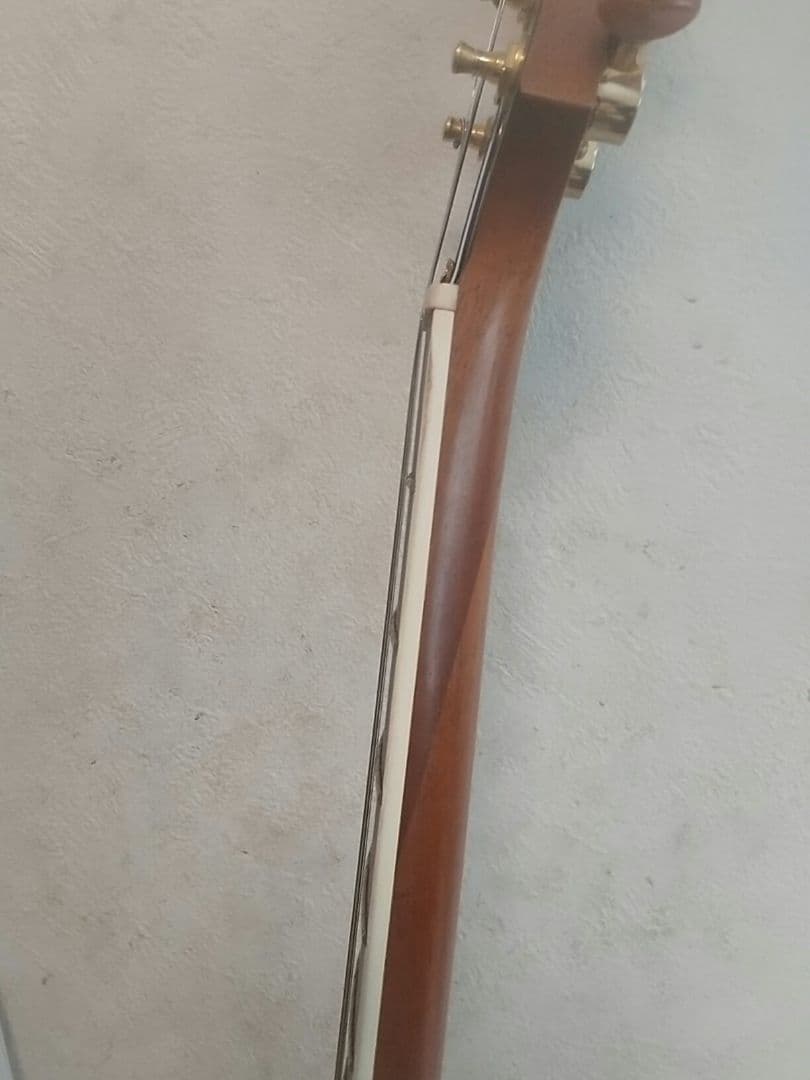 フジゲン/F&CアンボーイAnboy☆AF-55c オールマホガニー