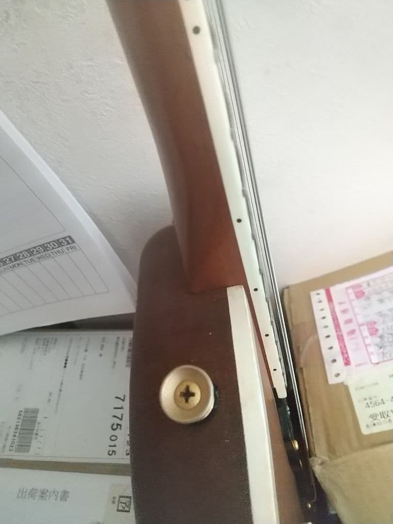 フジゲン/F&CアンボーイAnboy☆AF-55c オールマホガニー