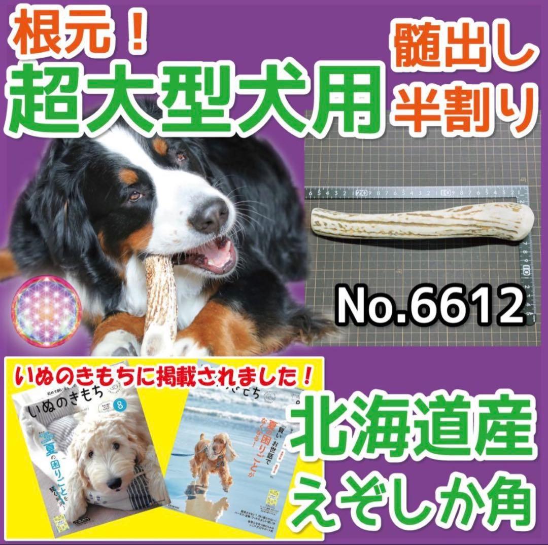 E＆R(๑•́‧̫•̀๑)♡♡　エゾシカの角