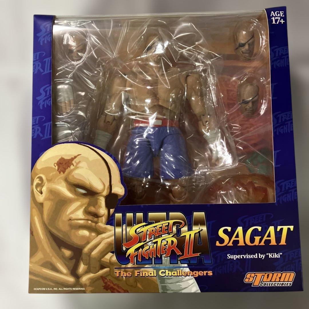 ザ・ファイナルチャレンジャーズ アクションフィギュア サガット