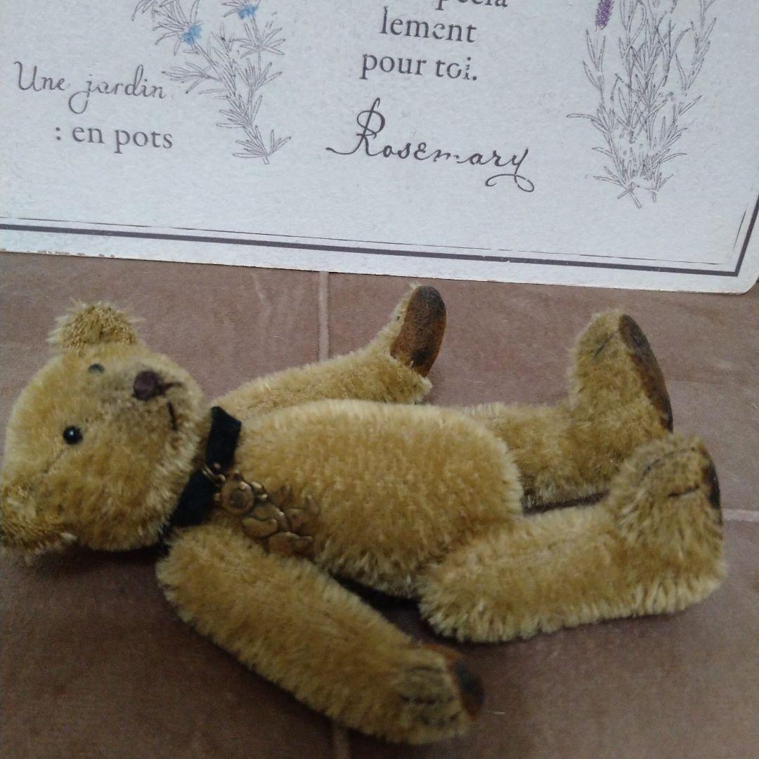 テディベア（ベージュ）タグあり