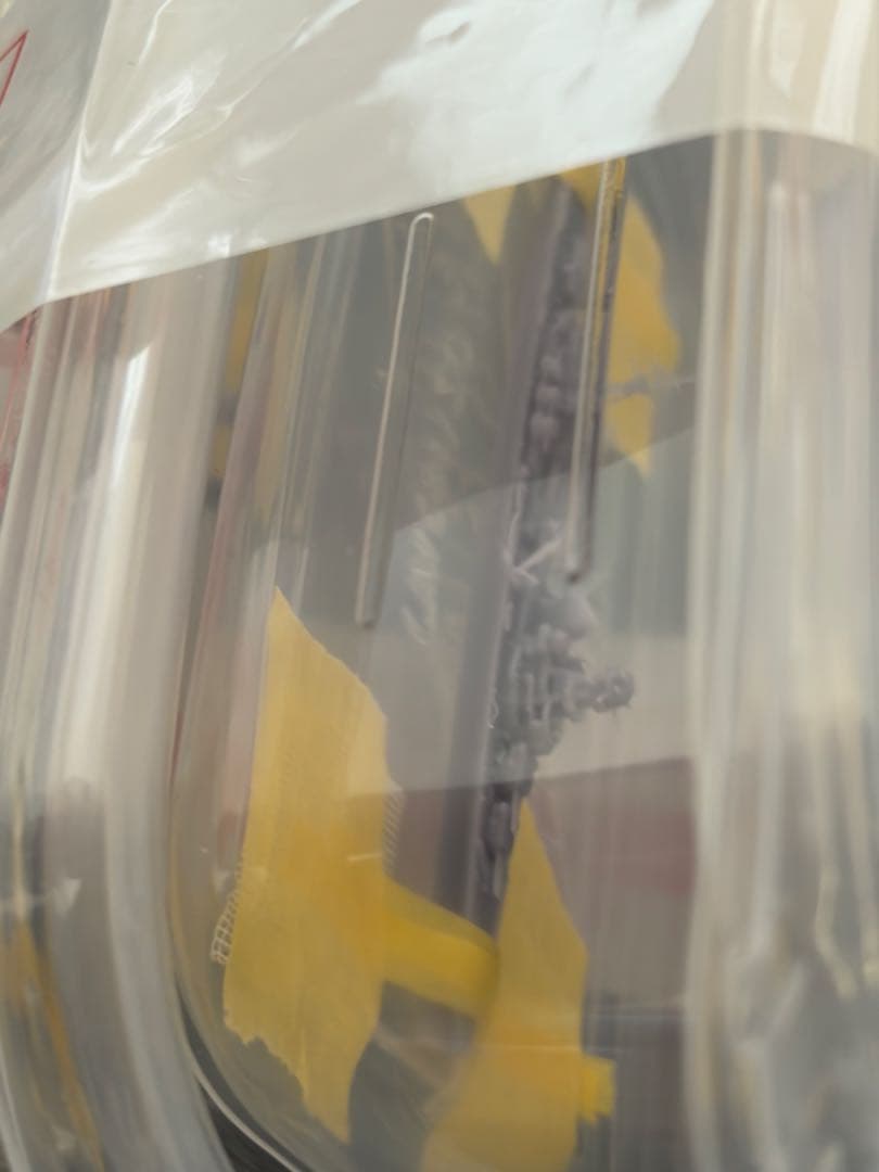 あすなろ1／2000