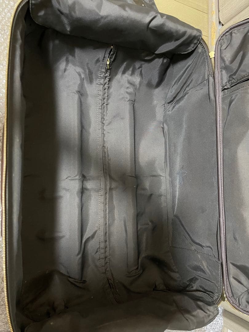 Louis Vuitton ダミエキャリーケース ペガス55