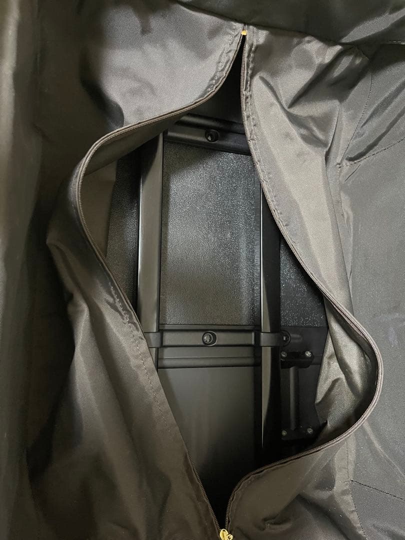 Louis Vuitton ダミエキャリーケース ペガス55