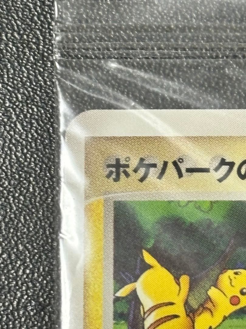 ポケパークのピカチュウ PROMOプロモカード 043/PCG-P