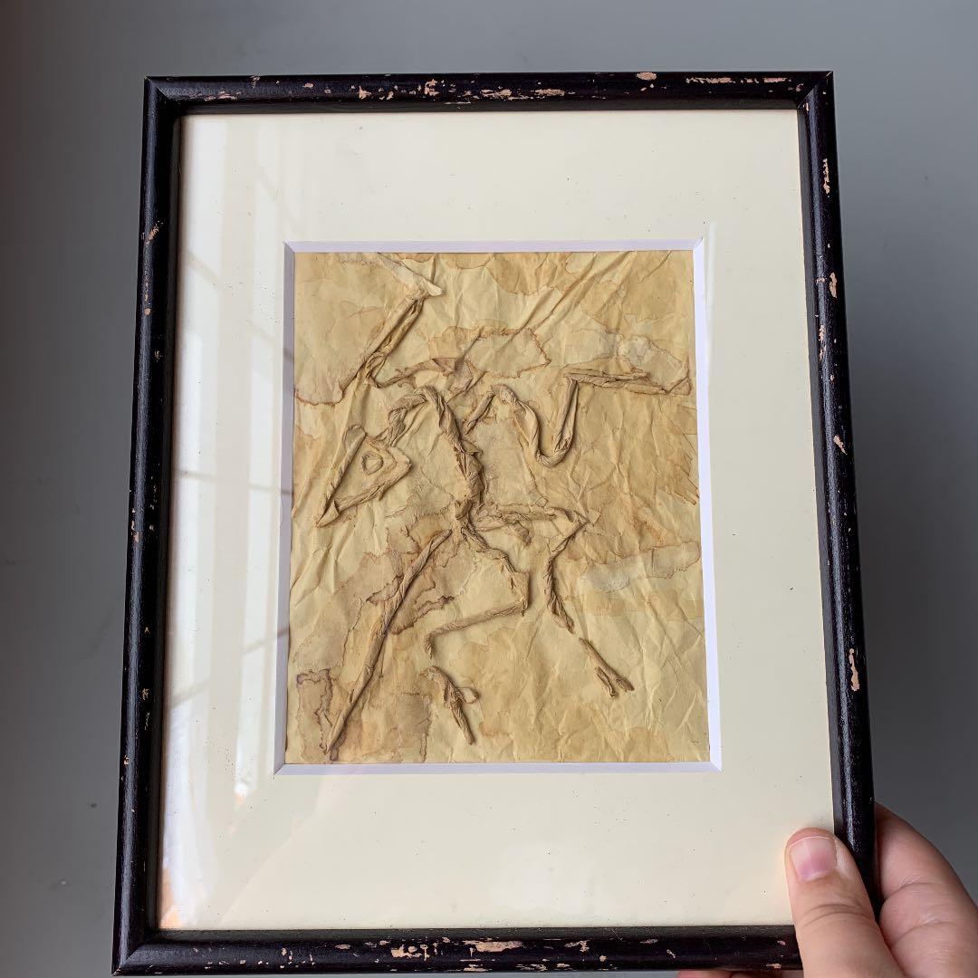 私の作った　ちぎり絵　始祖鳥の化石　木製ビンテージフレーム付き　ジュラ紀