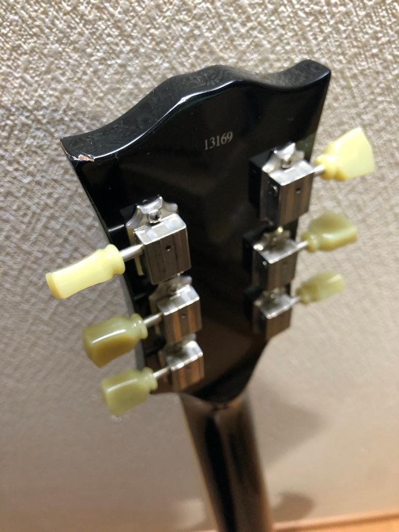 ギター Bacchus BSG-480?