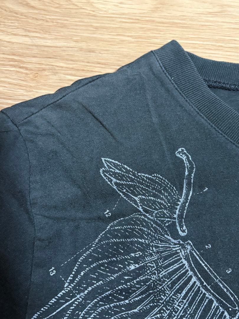 エディ期 Dior Homme 07AW エンジェルウイング 黒 Tシャツ S