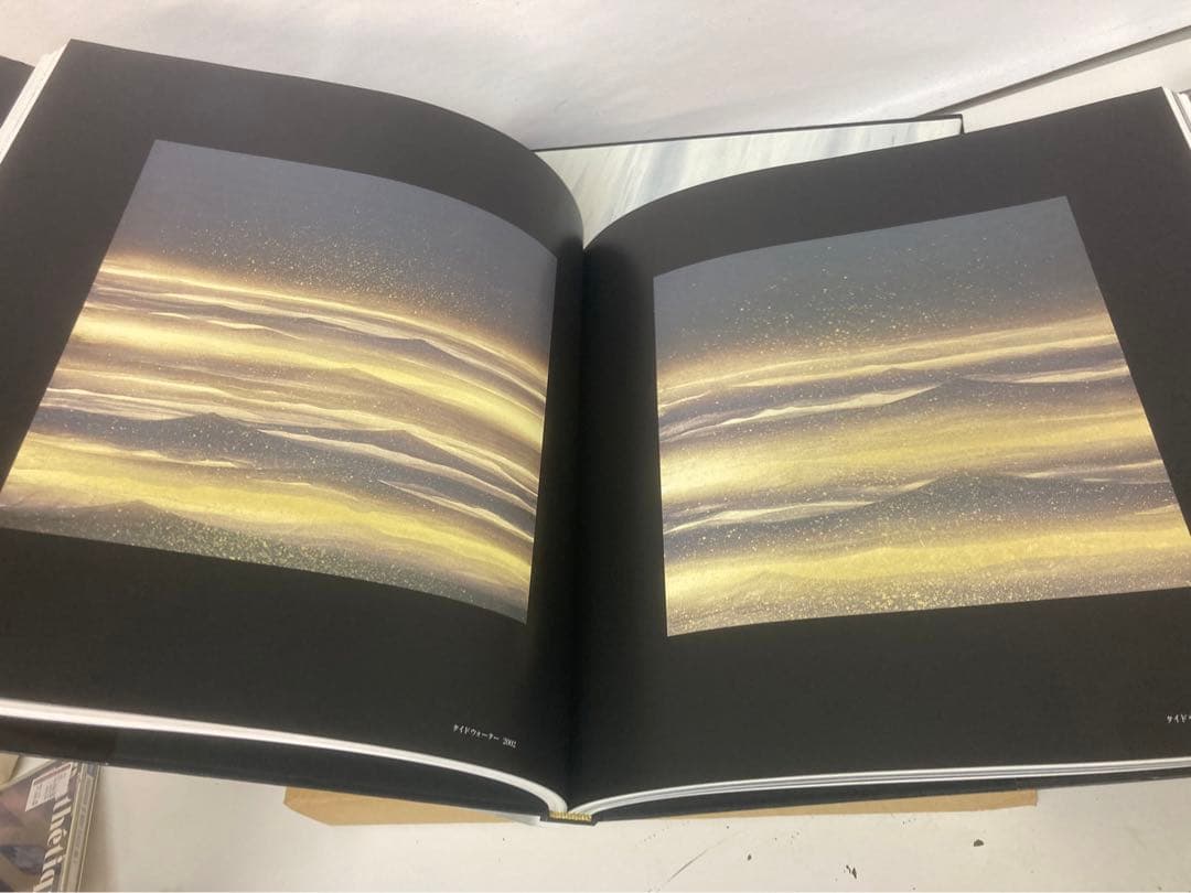 千住博 画集 水の音