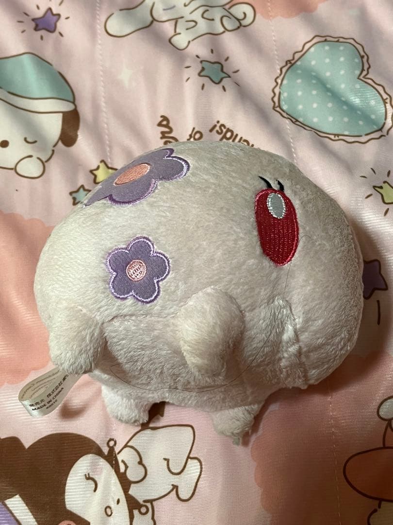 カシワギ ナツコ