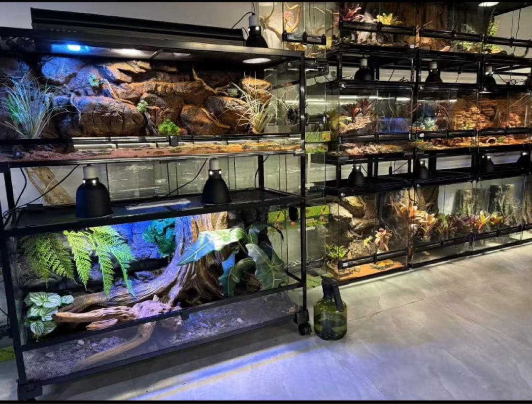 ケージ爬虫類60x45x45cm両生類飼育組み立て式　ガラス飼育ケージ 送料込み