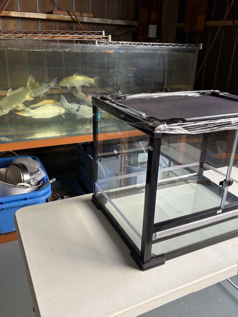 ケージ爬虫類60x45x45cm両生類飼育組み立て式　ガラス飼育ケージ 送料込み
