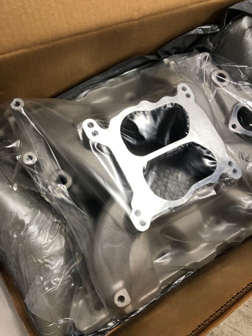 トランザム エーデルブロック　インテーク　イーグルマスク、ビッグマスク