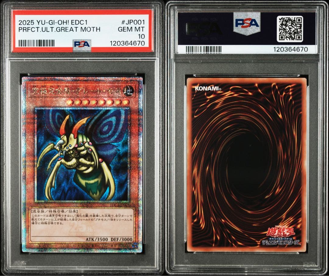 【2連番PSA10】究極完全態 グレートモス ホーリーナイトドラゴン 2枚セット