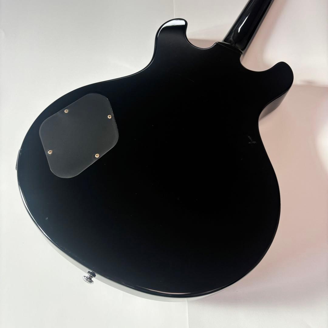 希少個体★Grassroots by ESP 菅原卓郎　G-Bricoleur