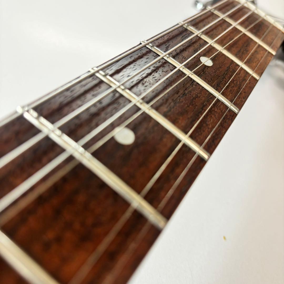 希少個体★Grassroots by ESP 菅原卓郎　G-Bricoleur