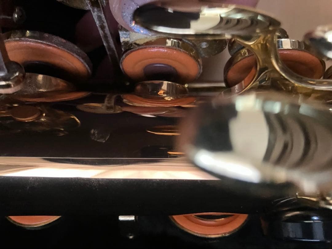 ヤナギサワ アルトサックス A902 本体 純正ケース付き