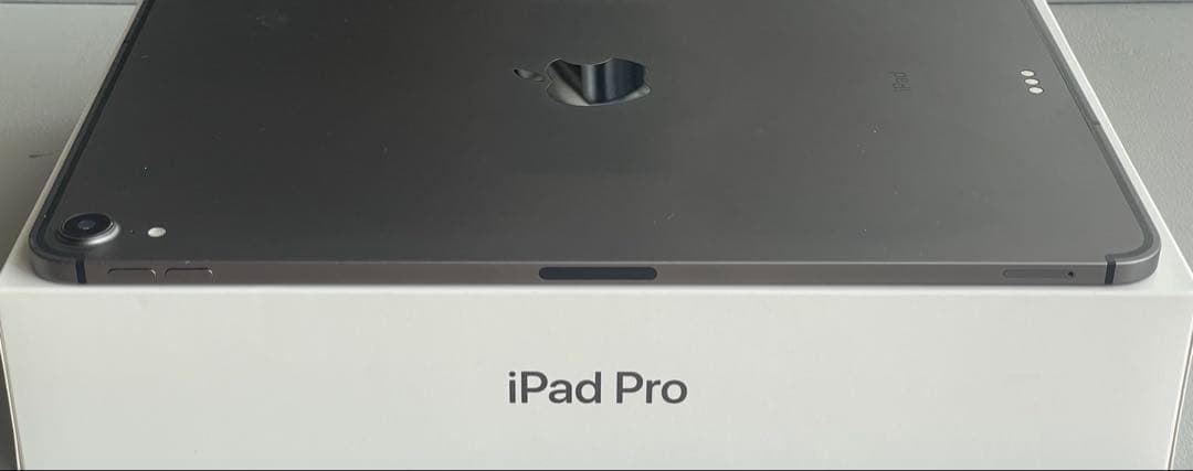 iPad本体 iPadPro11 Wi-Fi+Cellular 256GB