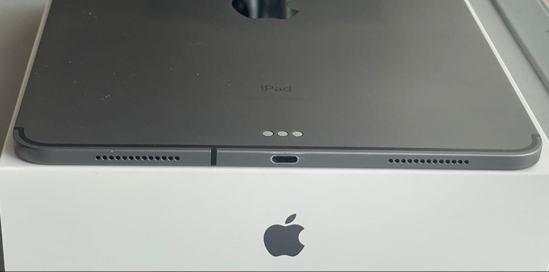 iPad本体 iPadPro11 Wi-Fi+Cellular 256GB