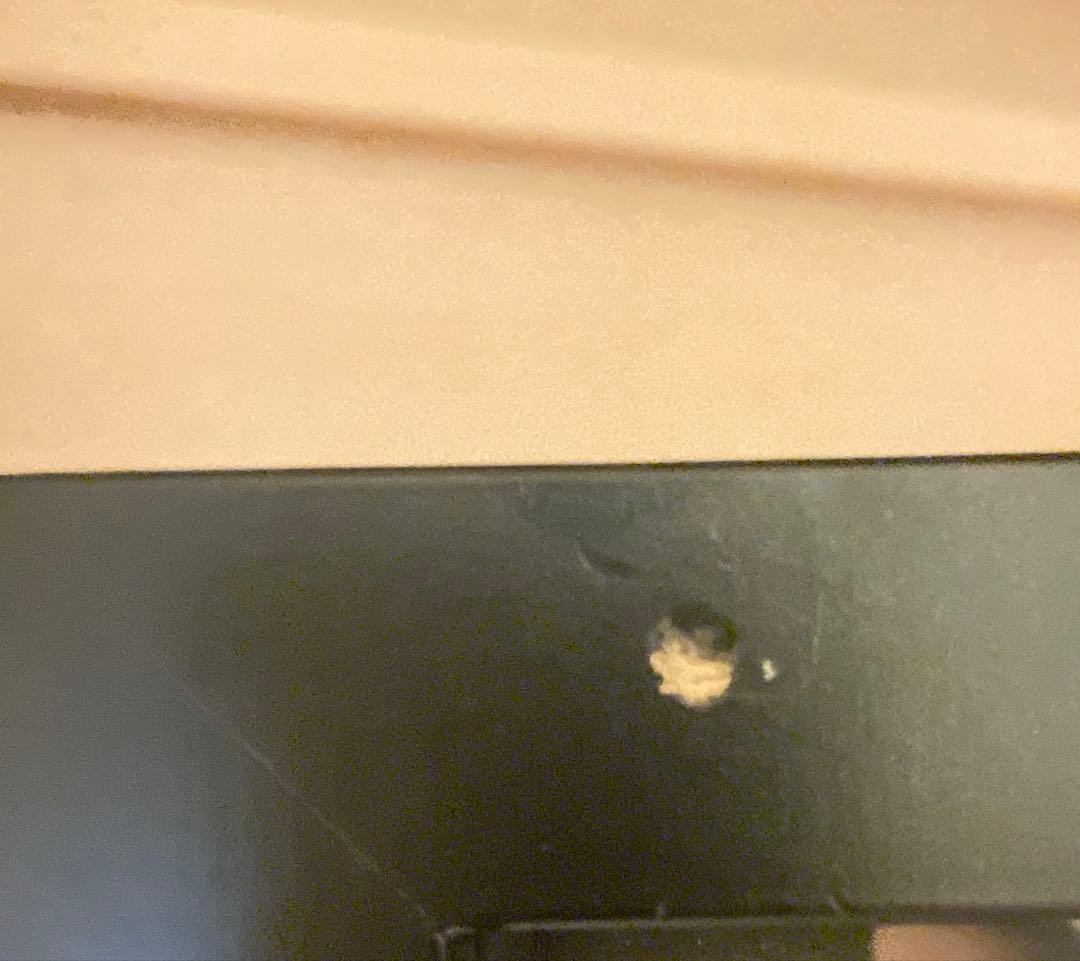 2008年日本シリーズ西武ライオンズ優勝記念額　レア使用ピッチャープレート入り