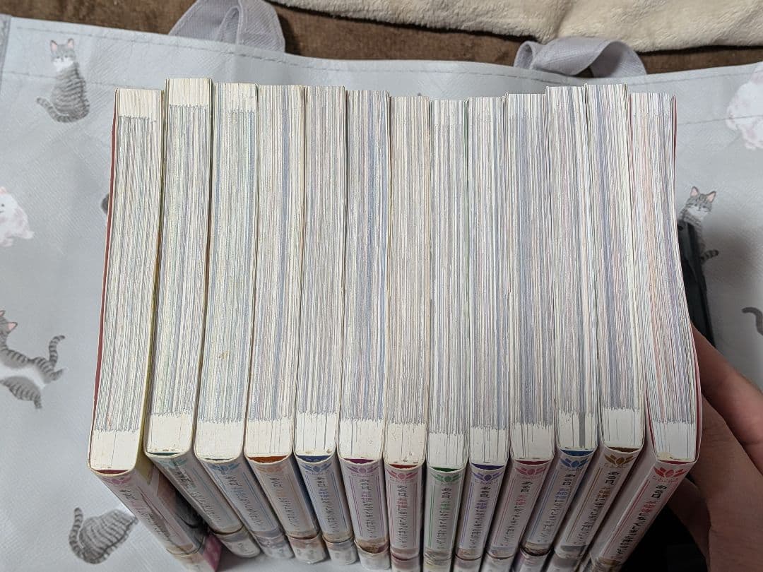 25日まで‼️ ある日、お姫様になってしまった件　全巻