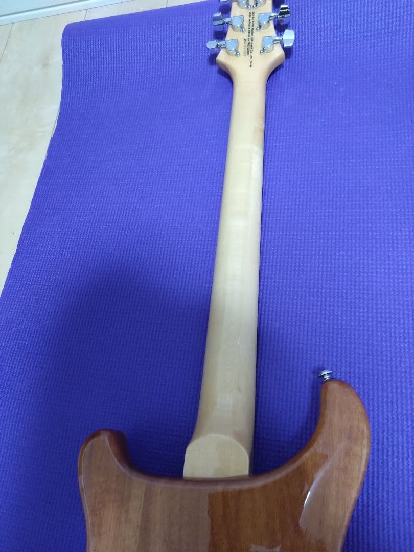 PRS custom24 SE グリーン ソフトケース付き