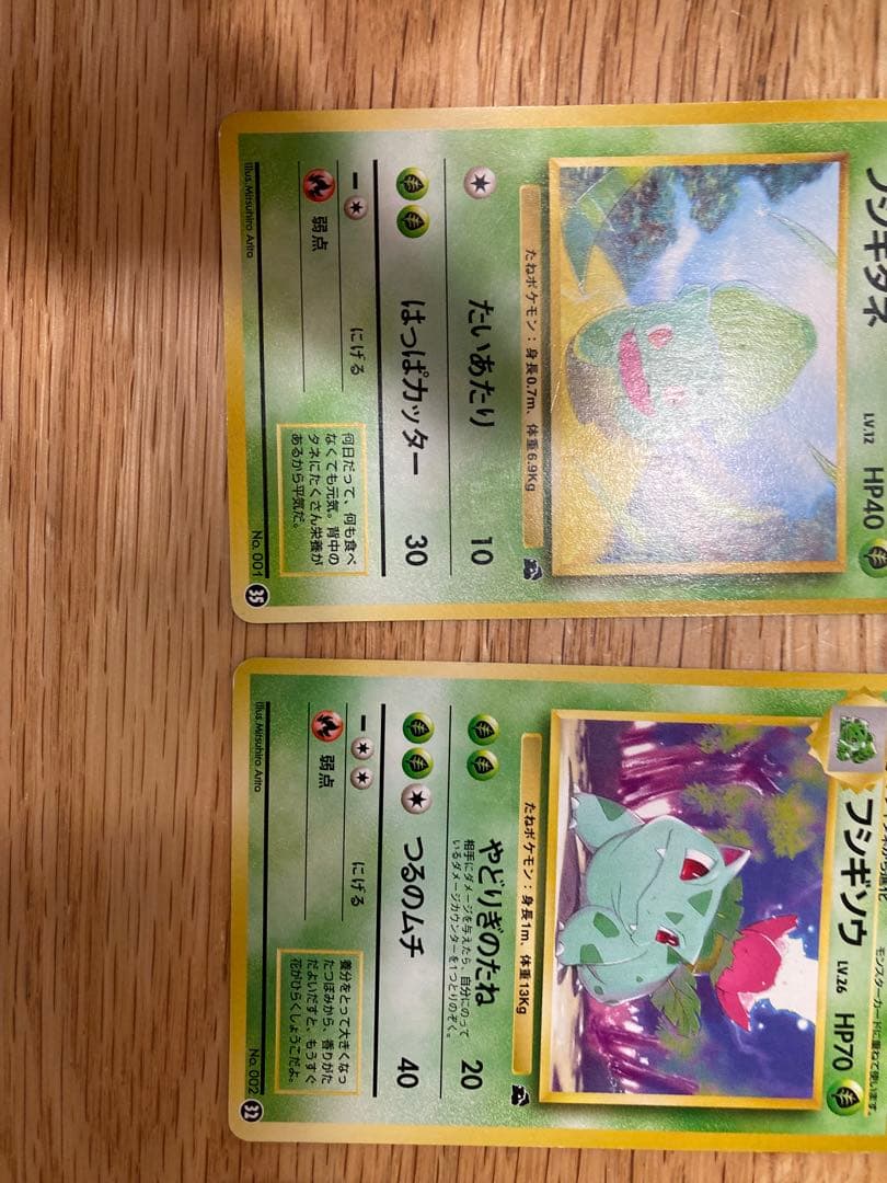 フシギダネ・フシギソウ 旧裏ポケモンカード6枚セット　イントロパック