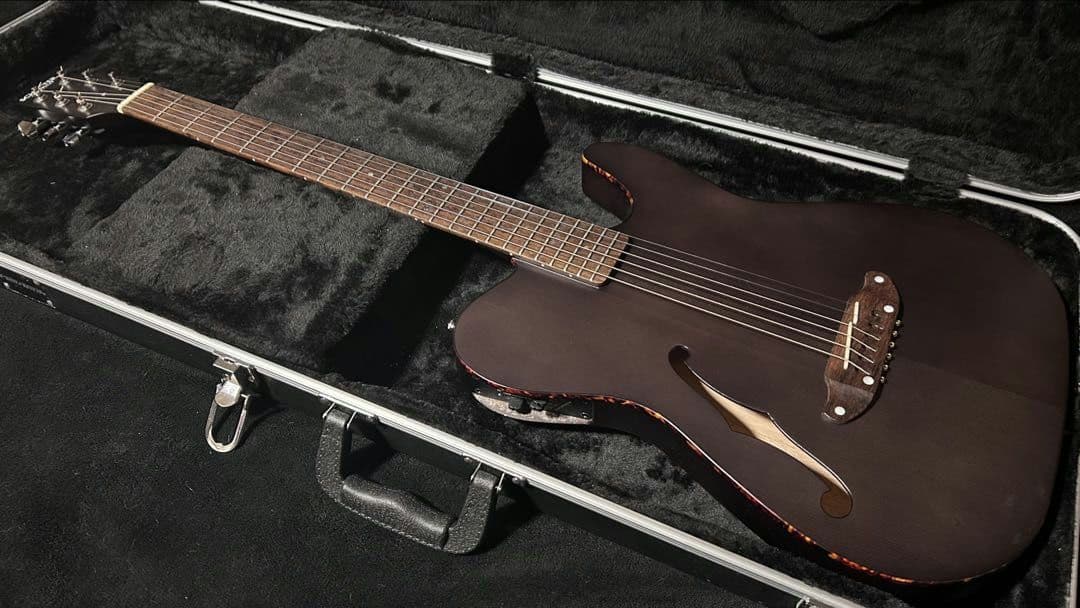 SHECTER OL-FL/BLK エレアコ