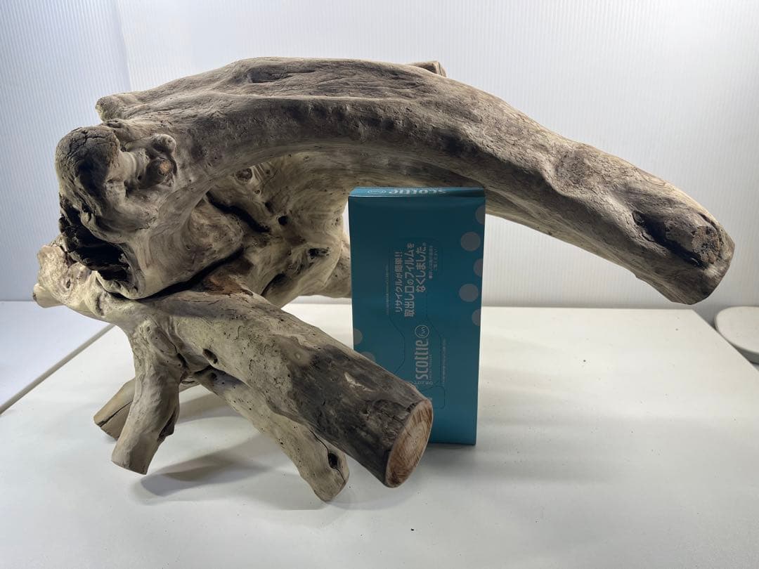 V64大型流木 アク抜き済み流木 爬虫類シェルター 登り木 インテリア 生け花