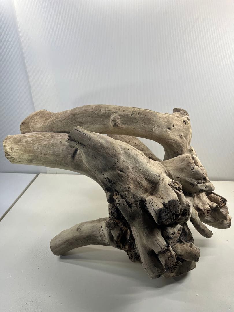 V64大型流木 アク抜き済み流木 爬虫類シェルター 登り木 インテリア 生け花