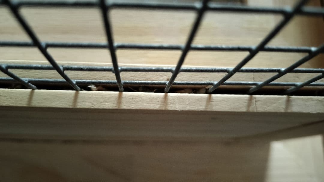 木製ケージ 大型 鳥かご　バードケージ　シマリス　フクロモモンガさんにも