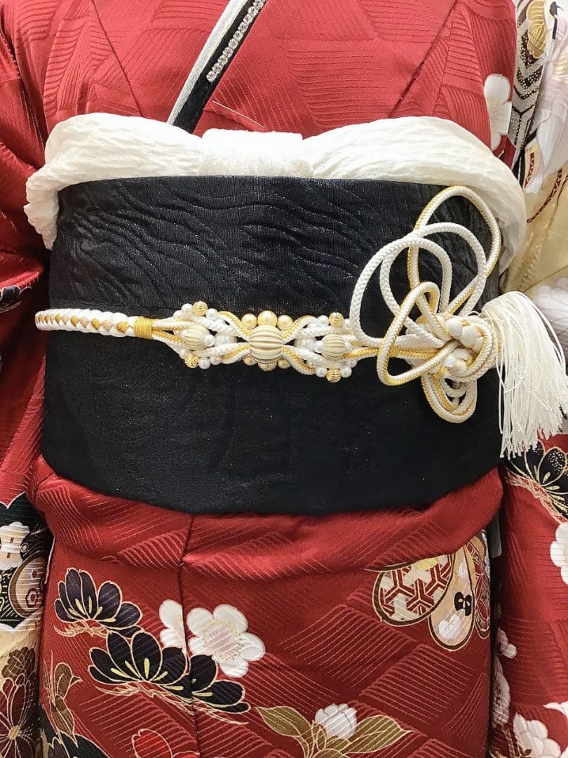 人気のエンジ　振袖と長襦袢と帯締めのみ