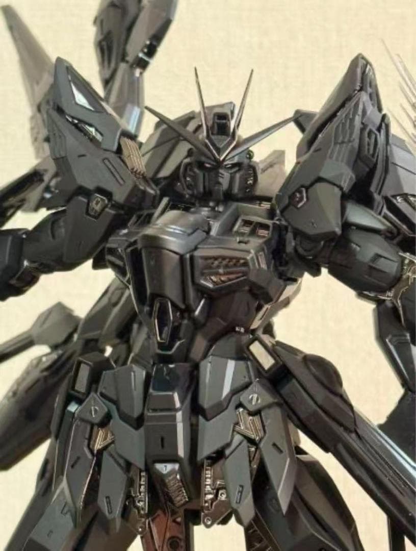 1/100ストライクフリダムガンダムブラック色(新品)