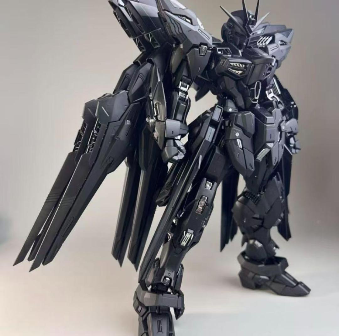 1/100ストライクフリダムガンダムブラック色(新品)
