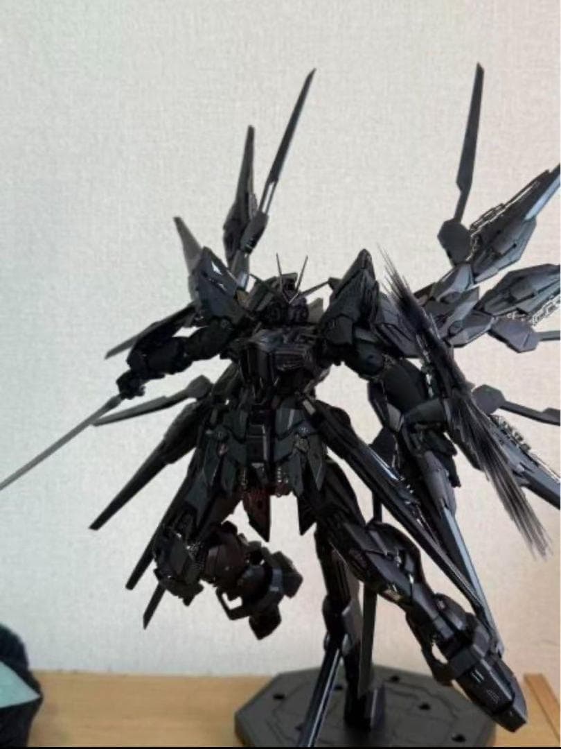 1/100ストライクフリダムガンダムブラック色(新品)