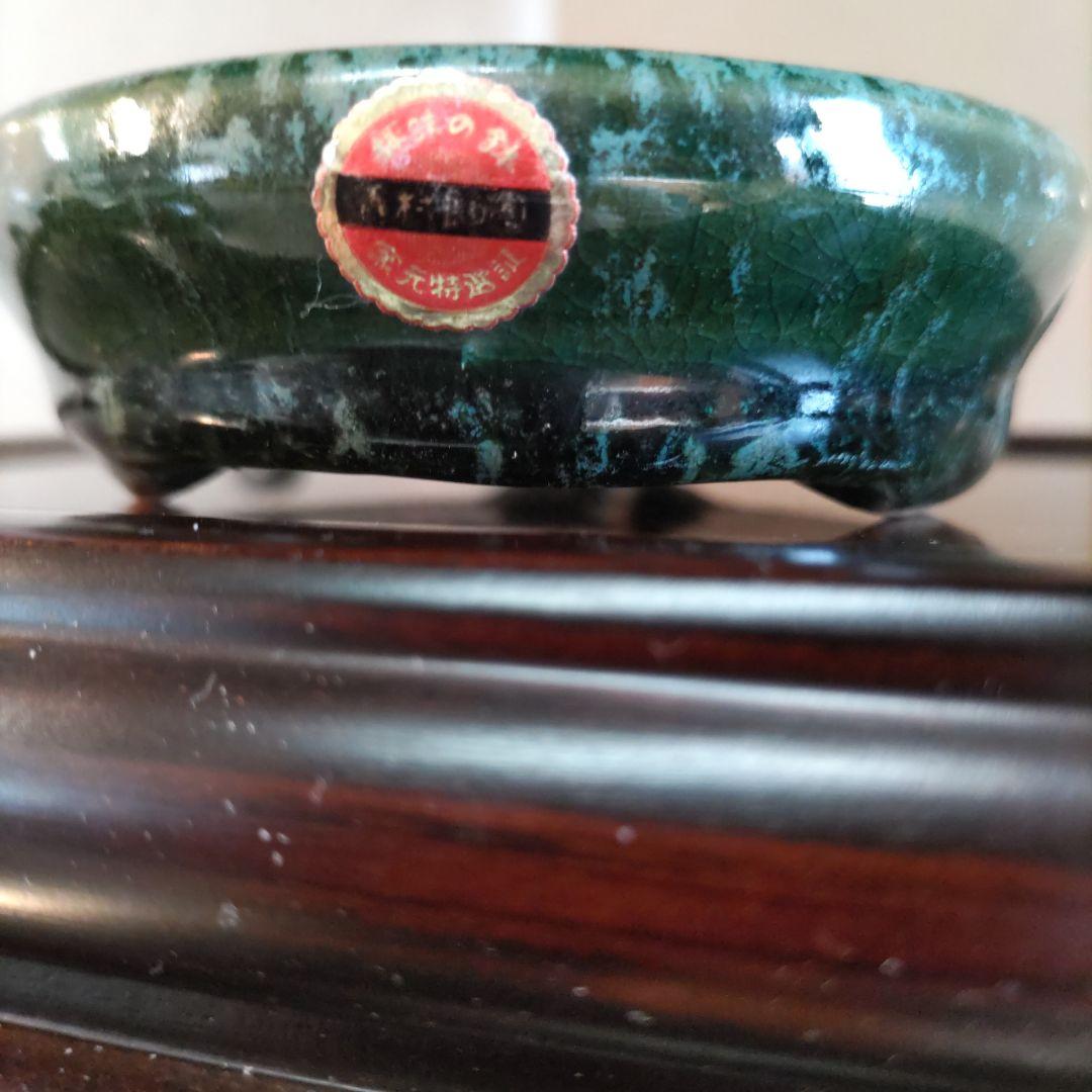 義村秀峰の豆鉢、未使用鉢、常滑焼、盆栽鉢、皿鉢、植木鉢、ミニ盆栽鉢、小品盆栽鉢