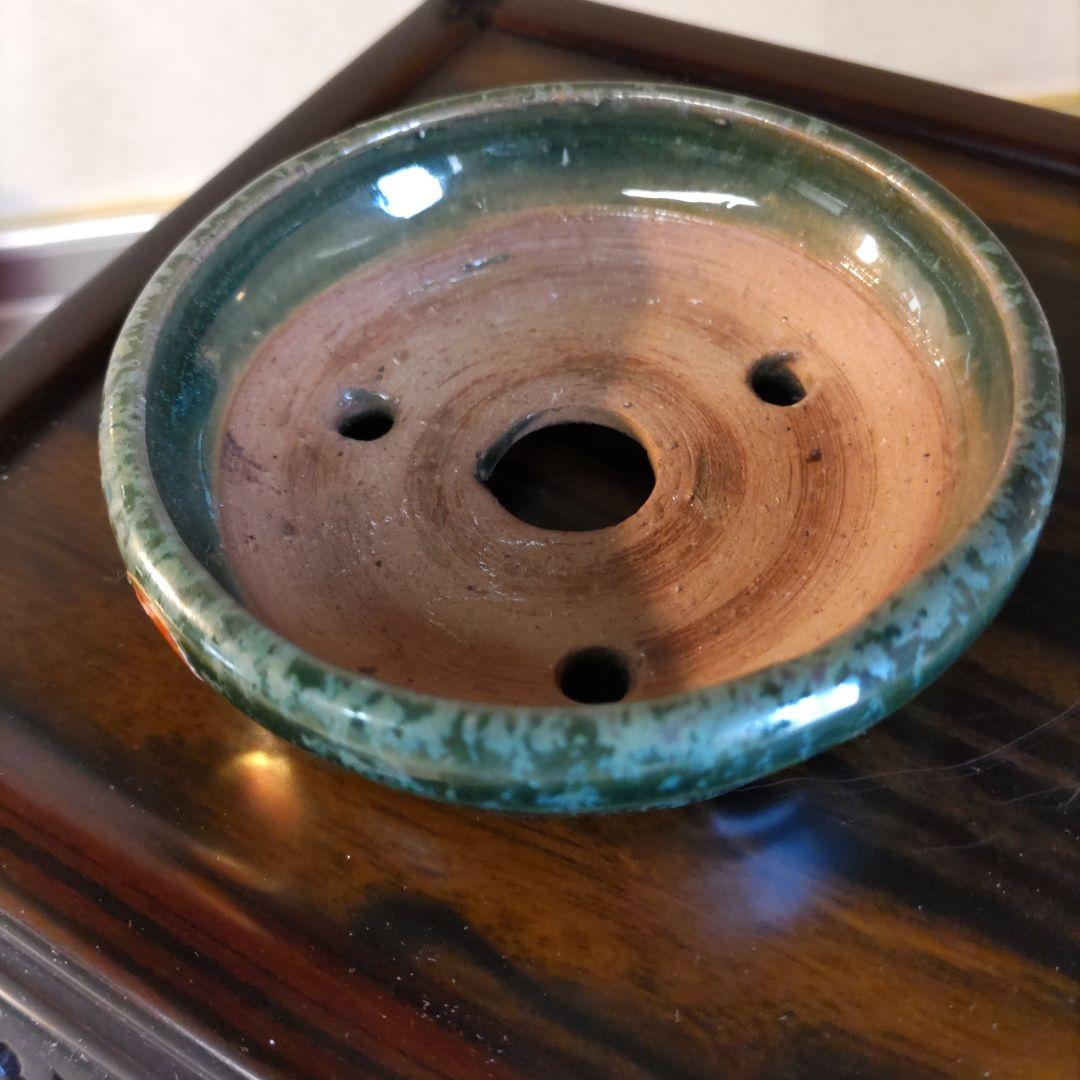 義村秀峰の豆鉢、未使用鉢、常滑焼、盆栽鉢、皿鉢、植木鉢、ミニ盆栽鉢、小品盆栽鉢